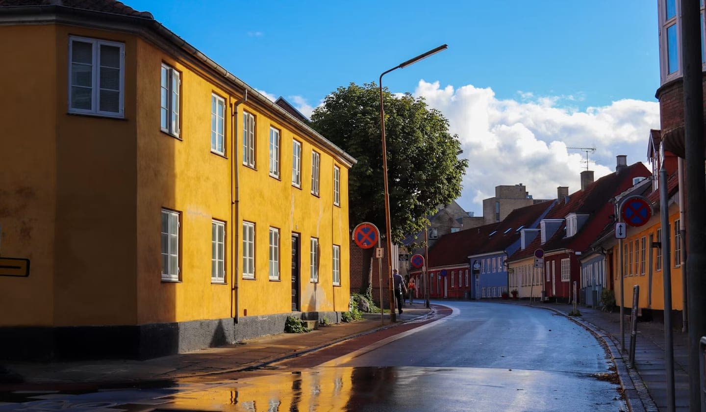 En våd gade i Roskilde med farverige huse og flere standsningsforbudsskilte.